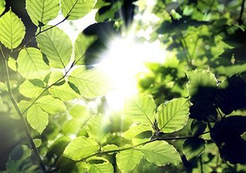 Over garnier pagina content block duurzame schoonheid