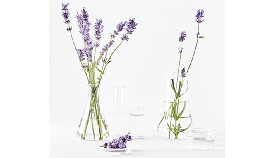 Lavendel als anti-aging ingrediënt