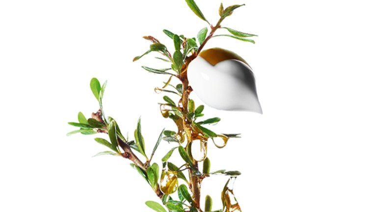 ARGAN 4