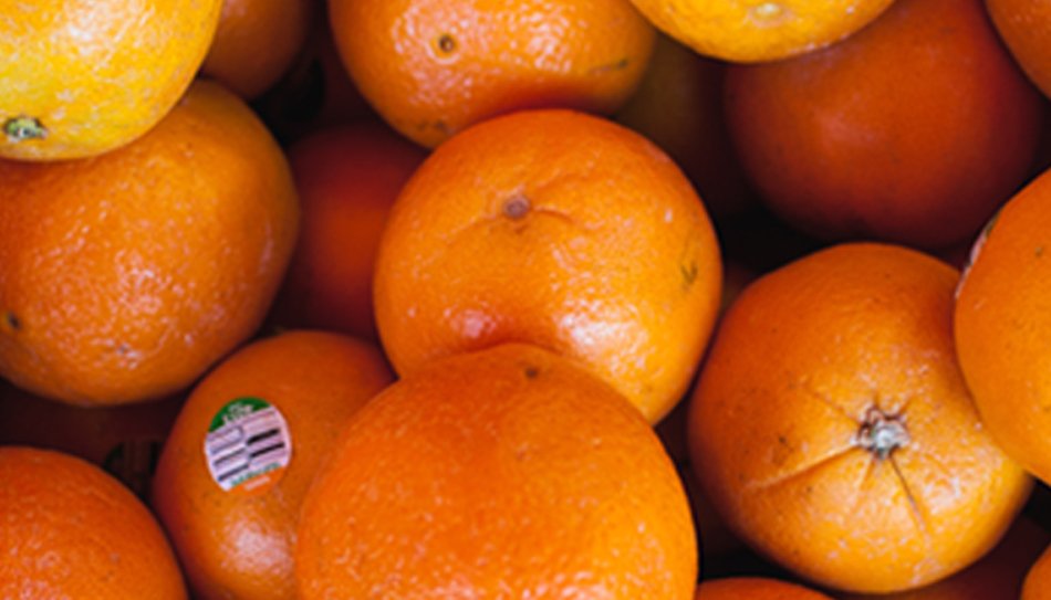 Waarom Vitamine C Voor De Huid Garnier