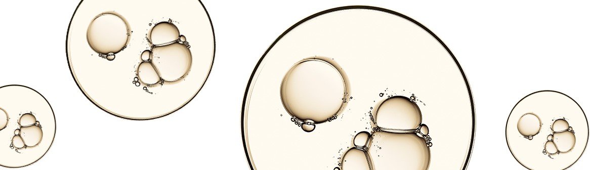 Wat doet een serum header L