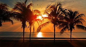 400 x 222 ZONNEBRAND DONKERE HUID