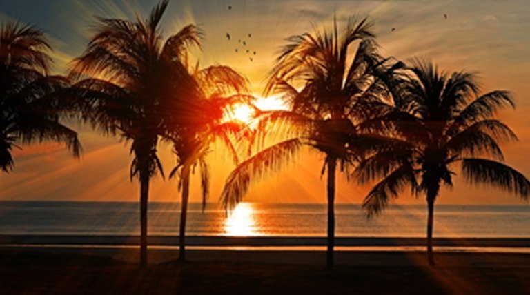 Ondergaande zon met palmbomen 
