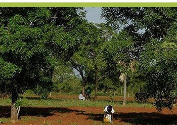 eerlijk inkomen van Sheaboter