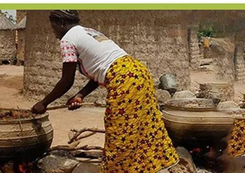 Behoud van karitébomen