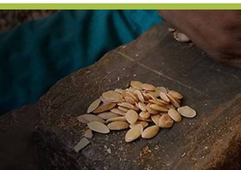 Arganolie uit Marokko