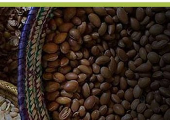 Duurzame bevoorrading