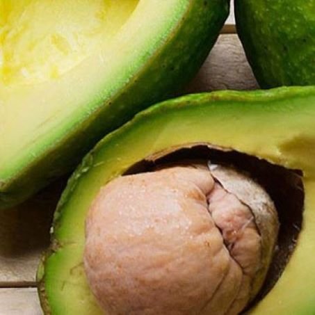 Avocado