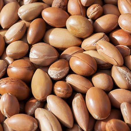 Argan