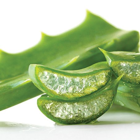 Aloë Vera