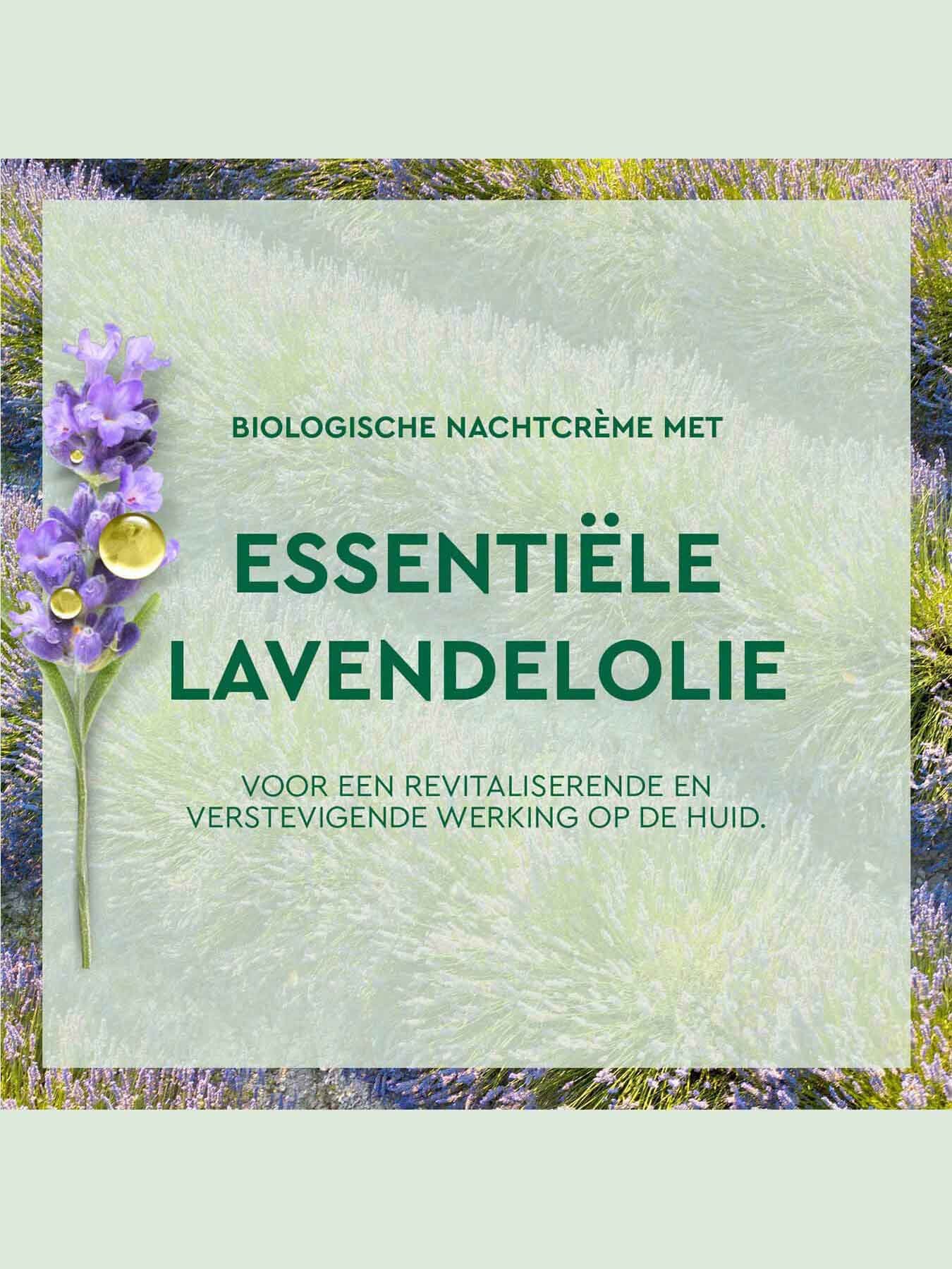 Biologische Nachtcrème met essentiële lavendelolie