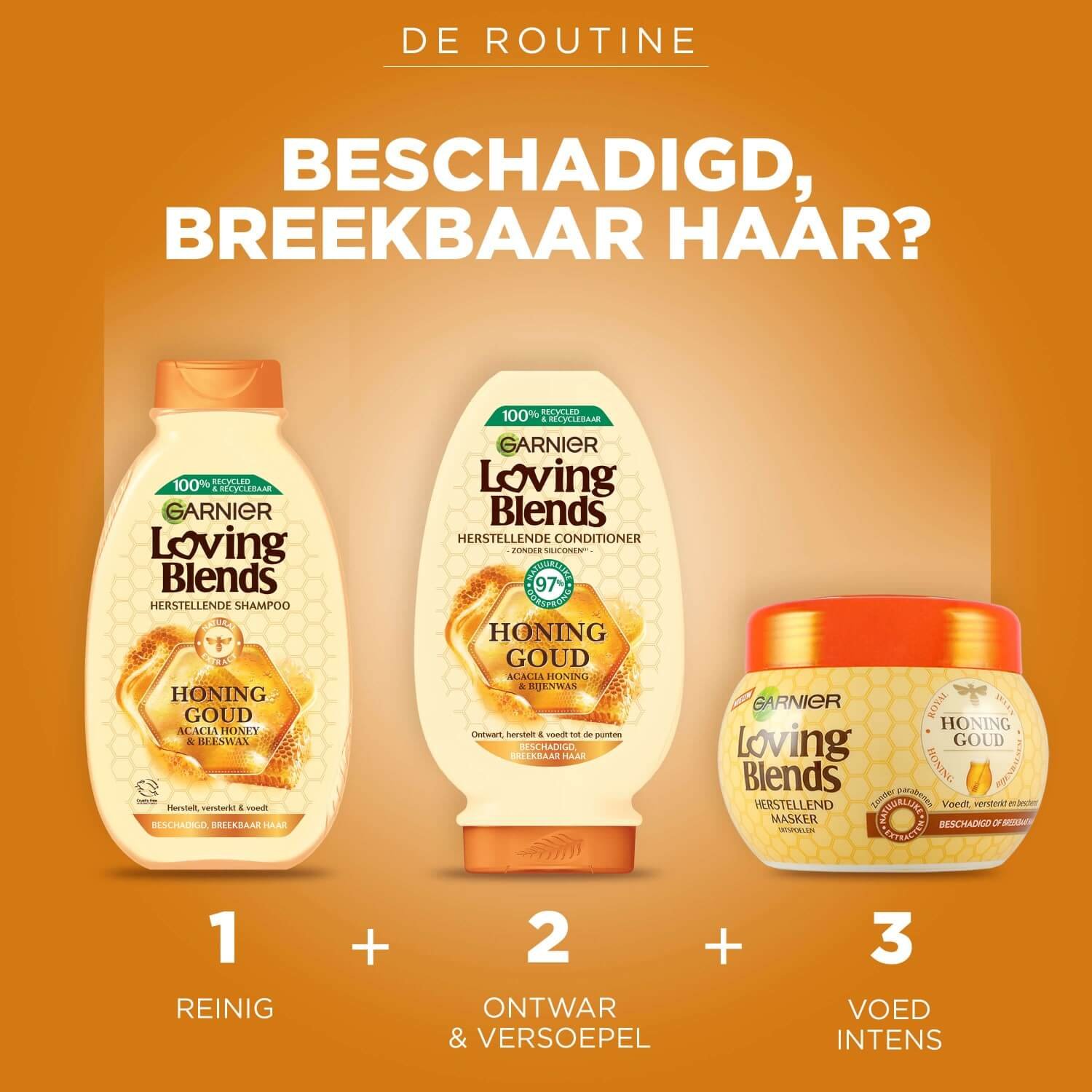 8039394 HONEY Routine NLjpg master