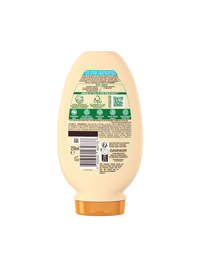 Garnier Hair Care UDL RICHESSE ARGAN ASH B250 DUT 3600542462778 A8N1 BACK P