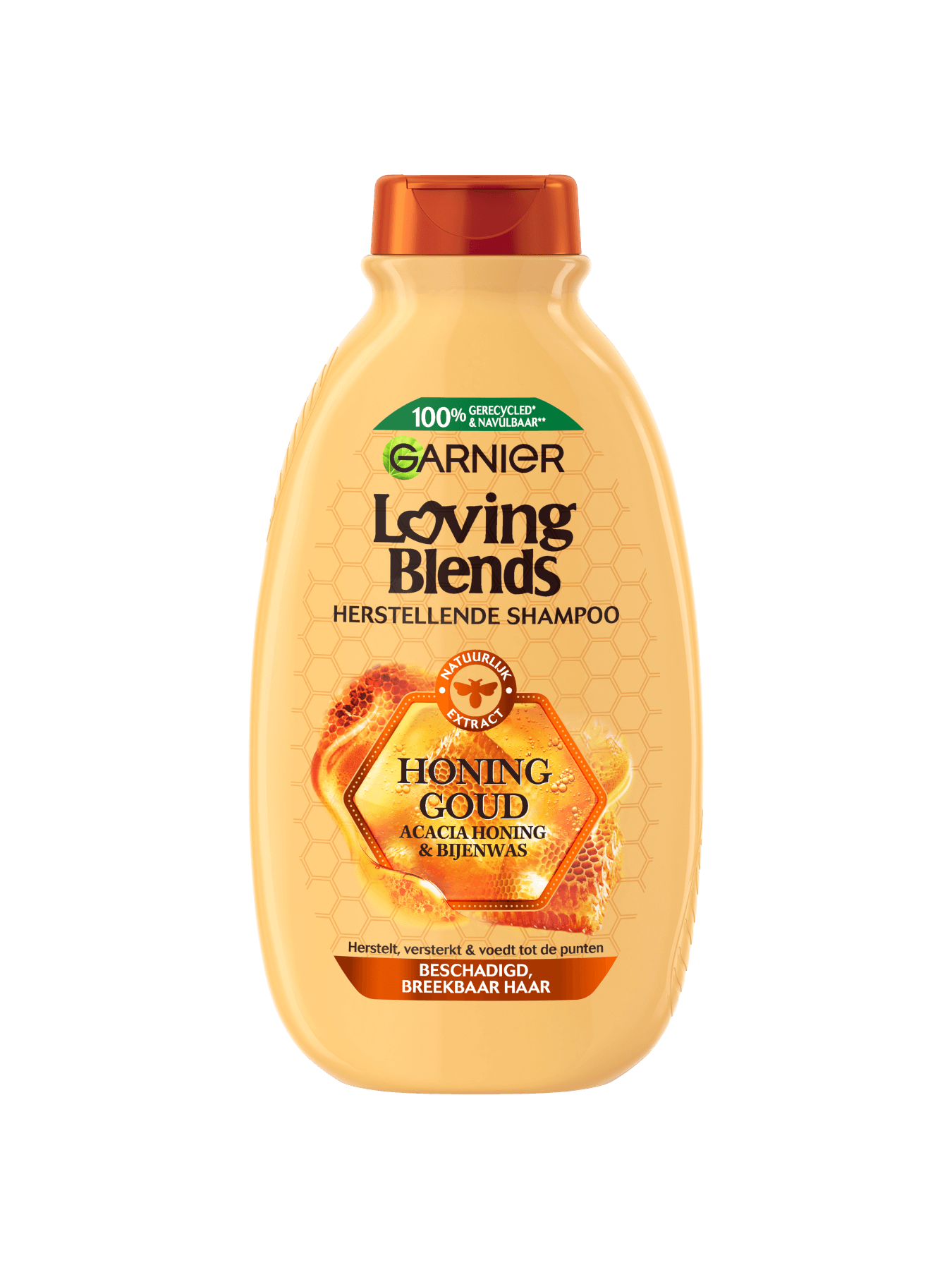 Garnier Hair Care UDL TRESOR MIEL SHP B300 DUT 3600542462259 A1N1 FRONT P